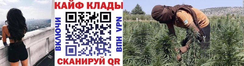 Как найти наркотики Лаишево ГАШ Канабис Меф мяу мяу