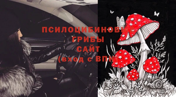 соль курить ск Алзамай