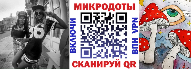 Галлюциногенные грибы Psilocybe  Лаишево 